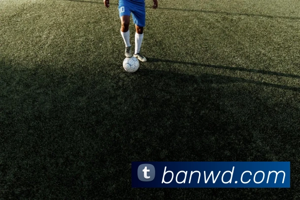 App Interface Preview