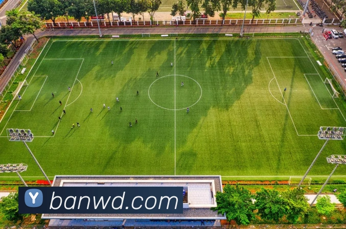 问鼎28APP 封面图